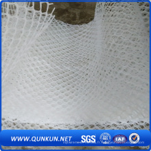 China Factory Supply Mesh en plastique de haute qualité